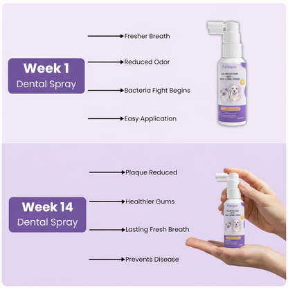 Dental Pet Spray by Furaqua | Veterinarian Recommended 🏆